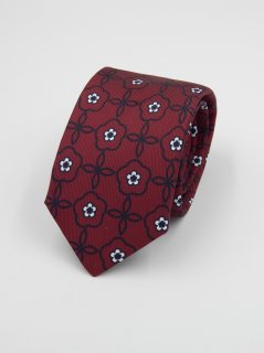 Cravatta 100% seta (#591)